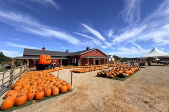 Gull Meadow Farms with pumpkins in the foreground
