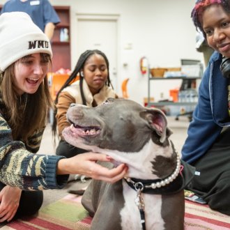 Therapy dog Chloe with students at Waldo Library during mid-terms.