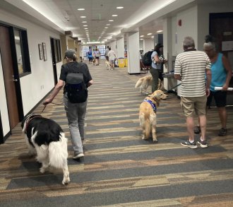 Therapy dogs in training visiting Waldo Library.