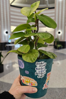 Plant buddy that students can borrow to decorate their study table while at Waldo Library.